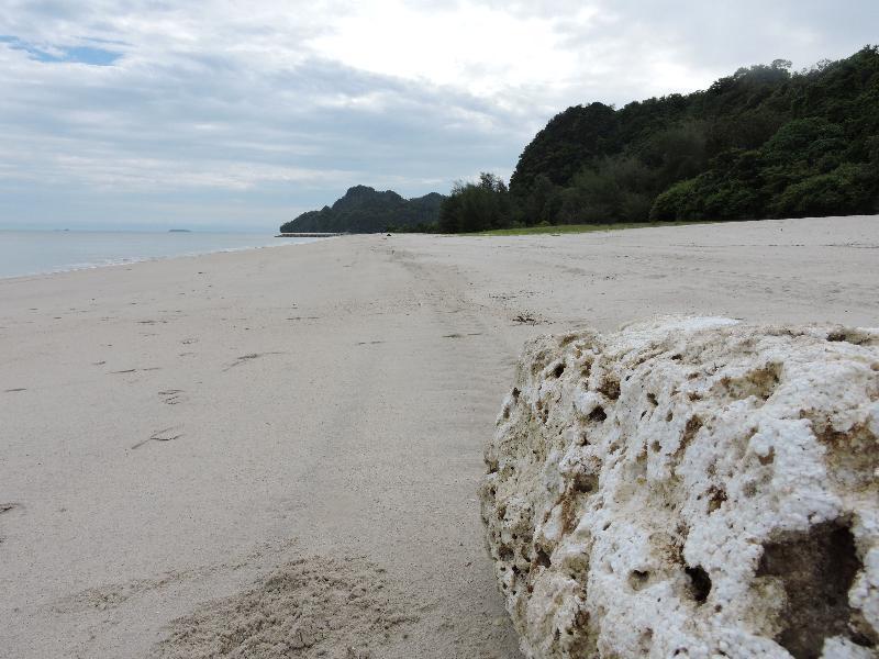 Lone Pine, Penang, A Tribute Portfolio Resort Batu Ferringhi Esterno foto